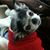 Terry Gregory's profile image