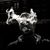 Stephen S. Reardon's profile image