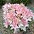 Mary Eckelkamp's profile image