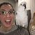 Amanda Contreras Hoempler's profile image