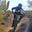 Ibike's profile image