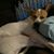 Corey Stoffer's profile image