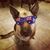 Norma Langmesser's profile image