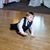 Shon Fugate's profile image