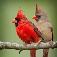 Linda Kirk McDowell's profile image