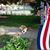 Kimberly Olea's profile image