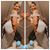 Davida Ervin's profile image