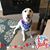 Joy Christine Copeland's profile image