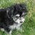 Clair Farmer Fry's profile image
