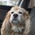 Mark Gourley's profile image