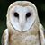 Angela Richter's profile image