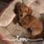 Tammy Conway Mosser's profile image