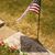 Linda Williams Butler's profile image