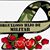Delia Nophal's profile image