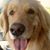 Ann Newhouse's profile image