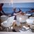 Tim R Merkley's profile image