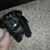 Donna Preece's profile image