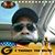 Gerald Bush's profile image