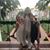 Kinga Barnes's profile image