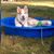 Xiomara Helena's profile image