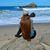 Nia Espinoza's profile image