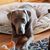 Catherine Scott's profile image