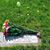 Sara N. Engels's profile image