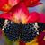 Ellen Sanborn's profile image