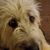 Candice Hare's profile image