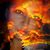 Amanda Counterman's profile image