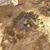 Charity Catlin's profile image