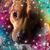 Jackie Lebbon's profile image