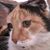 Jane Freund's profile image