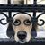 Ramona Jones Hardy's profile image