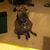 Pepper Colwell's profile image