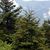Laura Stratton Wheelock's profile image