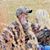 Philip N Jenn Wade's profile image