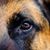 Vince Cashio's profile image