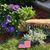 LaDonna Schoen Gehring's profile image