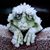 Sherrie Ownby's profile image
