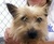 Susan R.'s profile image