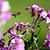 Sue Street's profile image
