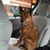Helbe Kelly's profile image