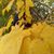 Gosia ER's profile image