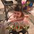 Jenny Risselman Lozano's profile image