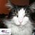 Meli Mcgillicuddy's profile image