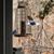 Helen Kintner's profile image
