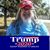 Larry Dean Jackson's profile image
