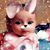 Liz Troutman's profile image