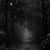 Marcela Recendiz Murillo's profile image